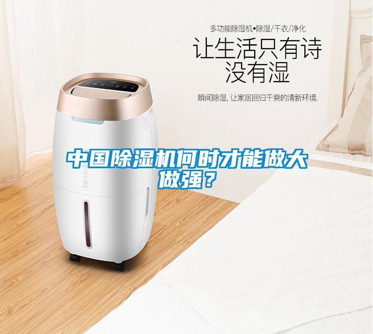 中國除濕機(jī)何時(shí)才能做大做強(qiáng)？
