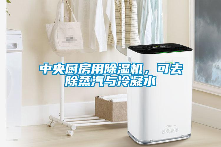 中央廚房用除濕機(jī)，可去除蒸汽與冷凝水