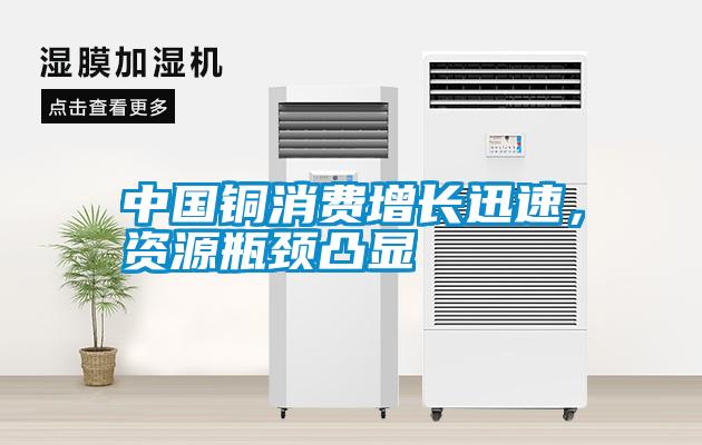 中國銅消費增長迅速，資源瓶頸凸顯