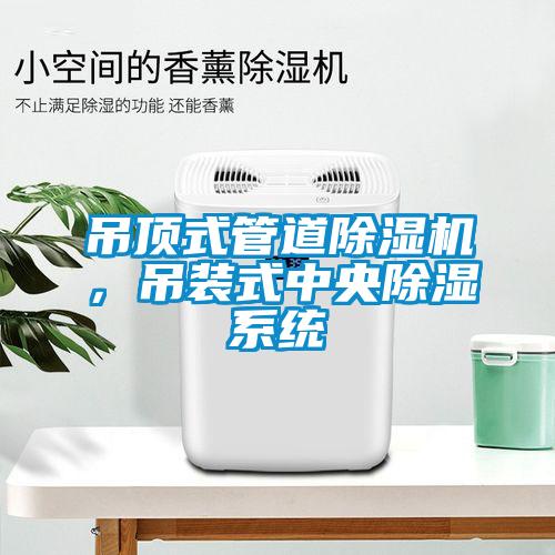 吊頂式管道除濕機，吊裝式中央除濕系統