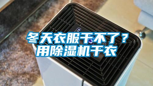 冬天衣服干不了？用除濕機干衣
