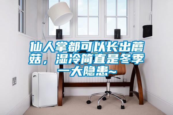 仙人掌都可以長出蘑菇，濕冷簡直是冬季一大隱患~
