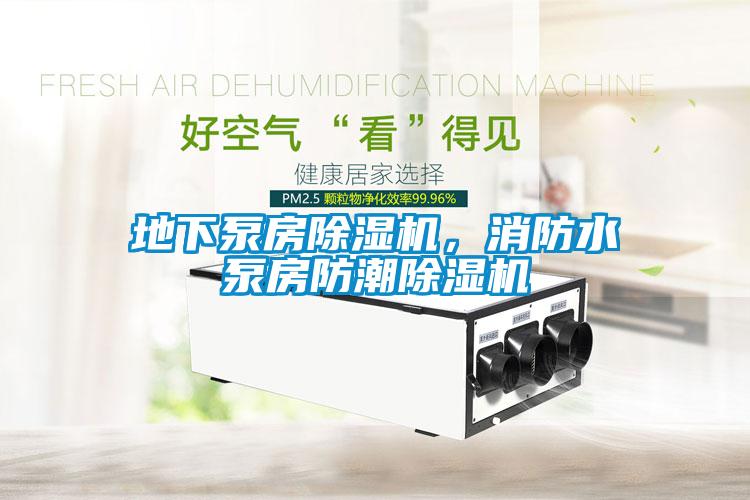 地下泵房除濕機，消防水泵房防潮除濕機