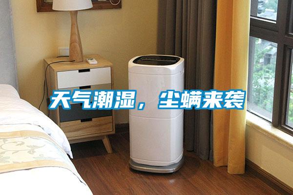 天氣潮濕,塵螨來(lái)襲