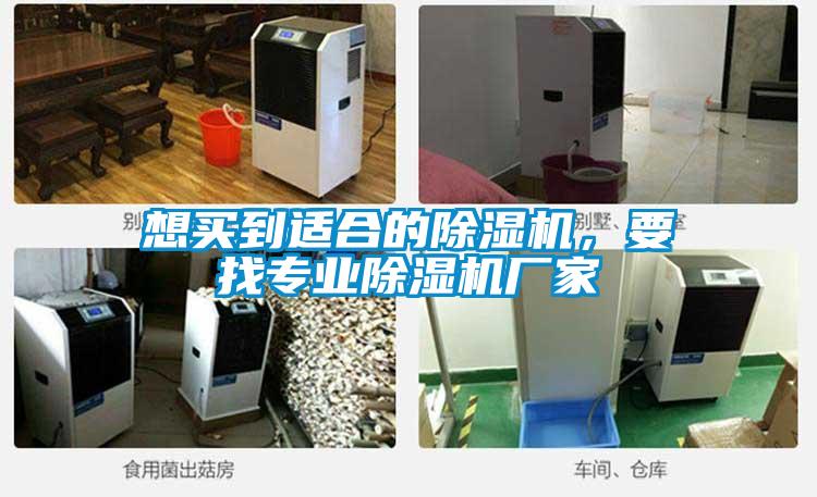 想買到適合的除濕機，要找專業(yè)除濕機廠家