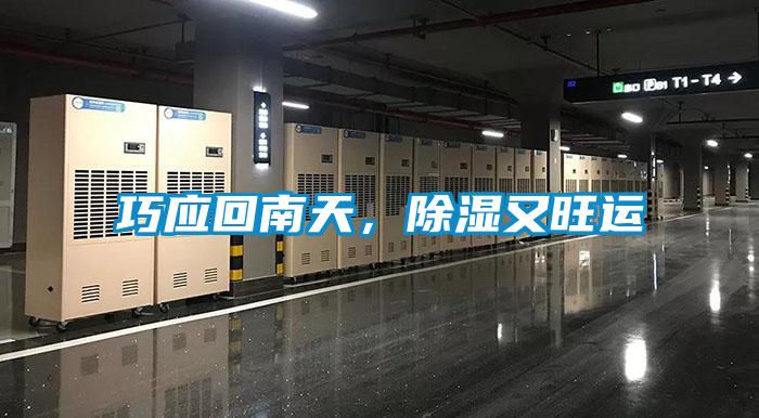 巧應(yīng)回南天，除濕又旺運