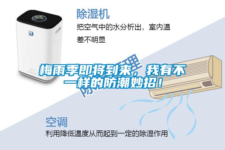 梅雨季即將到來(lái)，我有不一樣的防潮妙招！
