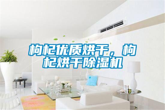枸杞優質烘干，枸杞烘干除濕機