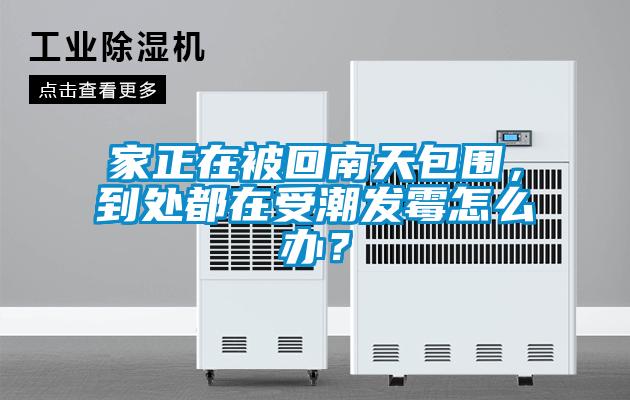 家正在被回南天包圍，到處都在受潮發霉怎么辦？