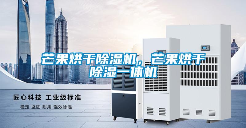 芒果烘干除濕機，芒果烘干除濕一體機