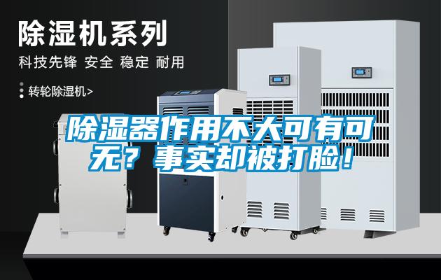 除濕器作用不大可有可無？事實卻被打臉！