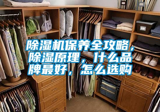 除濕機保養全攻略，除濕原理，什么品牌最好，怎么選購