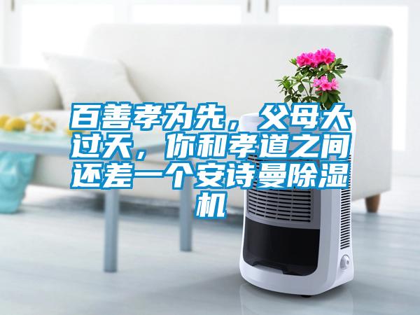 百善孝為先，父母大過天，你和孝道之間還差一個安詩曼除濕機