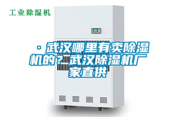 ·武漢哪里有賣除濕機的？武漢除濕機廠家直供