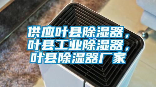 供應葉縣除濕器，葉縣工業除濕器，葉縣除濕器廠家