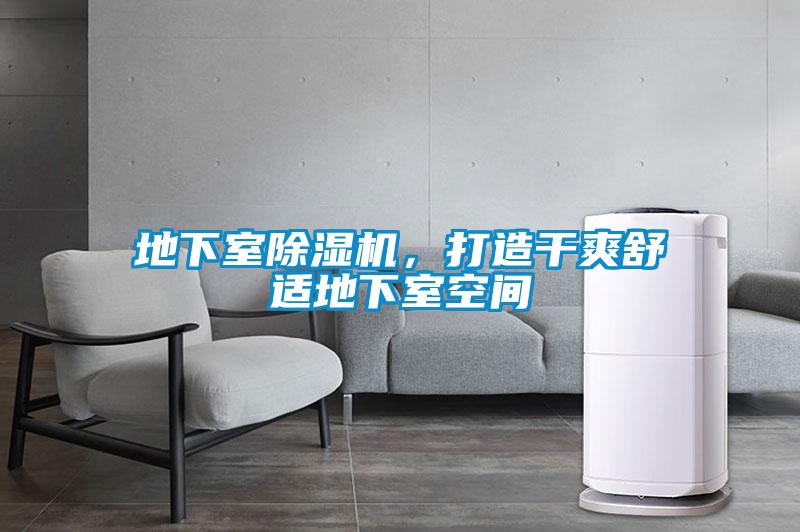 地下室除濕機，打造干爽舒適地下室空間