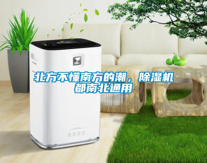 北方不懂南方的潮，除濕機都南北通用