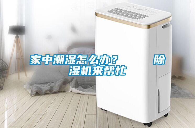 家中潮濕怎么辦？    除濕機來幫忙