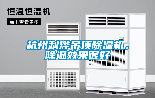 杭州利燁吊頂除濕機，除濕效果很好