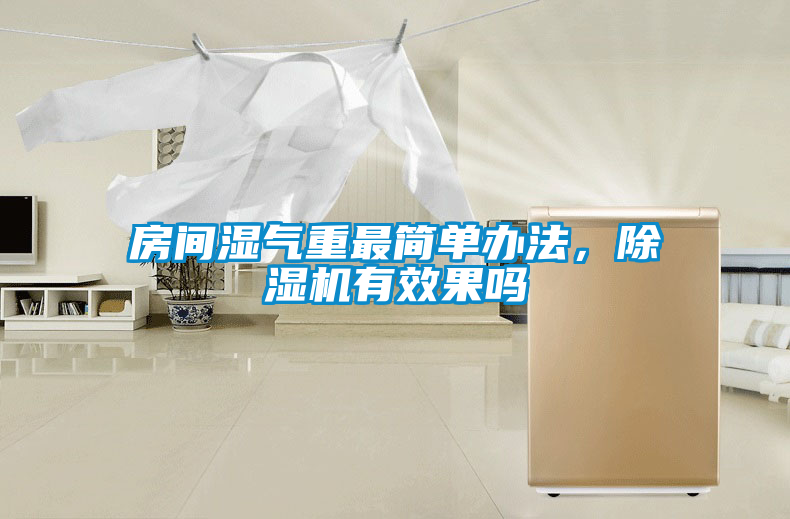房間濕氣重最簡單辦法，除濕機有效果嗎