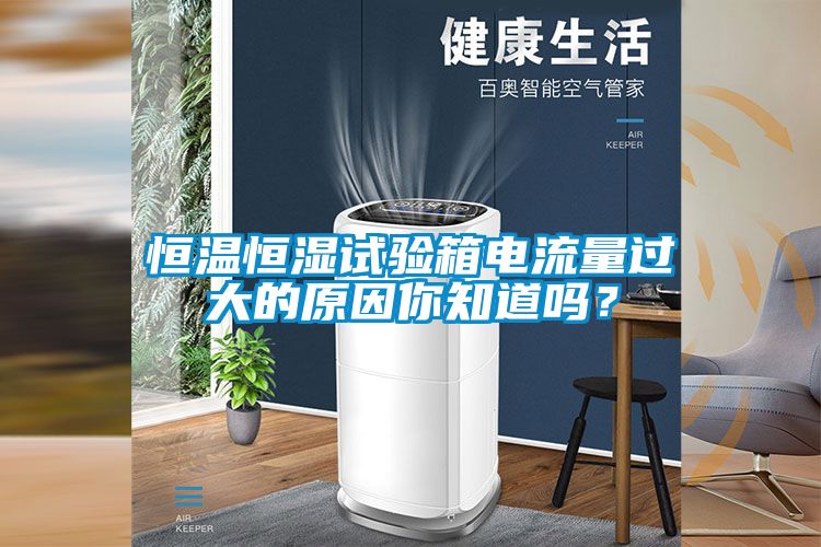 恒溫恒濕試驗箱電流量過大的原因你知道嗎？