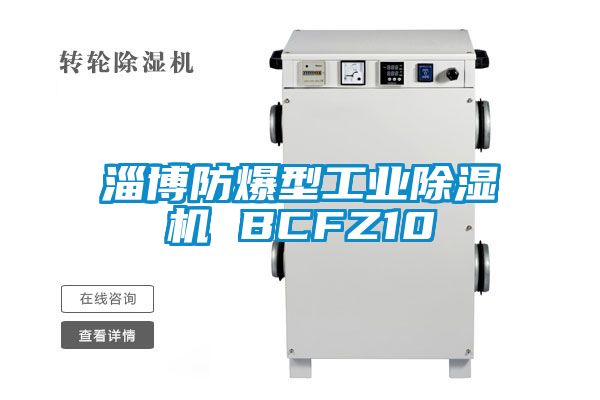 淄博防爆型工業除濕機 BCFZ10