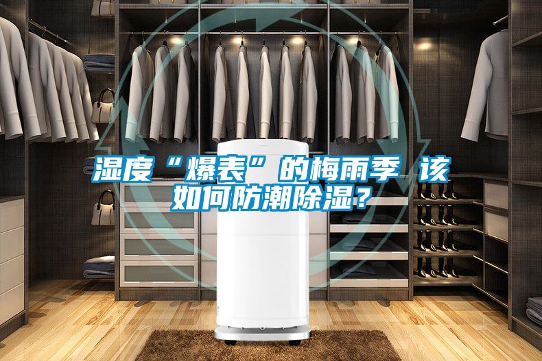 濕度“爆表”的梅雨季 該如何防潮除濕？