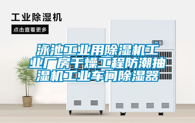 泳池工業(yè)用除濕機(jī)工業(yè)廠(chǎng)房干燥工程防潮抽濕機(jī)工業(yè)車(chē)間除濕器