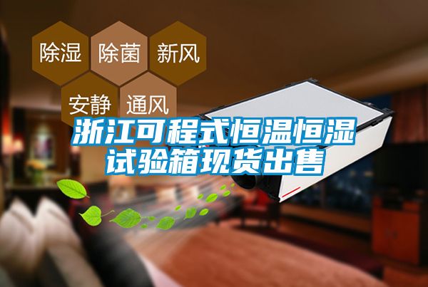 浙江可程式恒溫恒濕試驗箱現貨出售