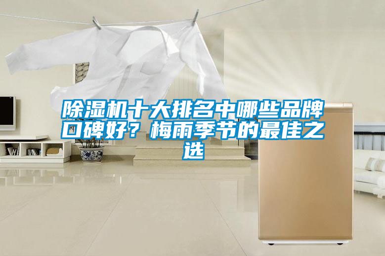 除濕機十大排名中哪些品牌口碑好？梅雨季節的最佳之選