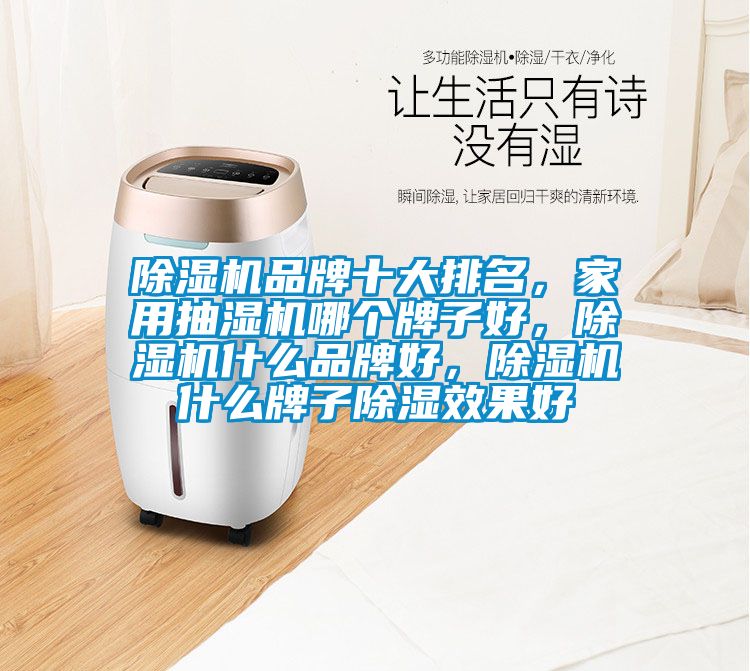除濕機(jī)品牌十大排名，家用抽濕機(jī)哪個(gè)牌子好，除濕機(jī)什么品牌好，除濕機(jī)什么牌子除濕效果好