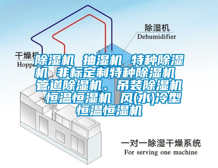 除濕機(jī) 抽濕機(jī) 特種除濕機(jī) 非標(biāo)定制特種除濕機(jī) 管道除濕機(jī)、吊裝除濕機(jī) 恒溫恒濕機(jī) 風(fēng)(水)冷型恒溫恒濕機(jī)