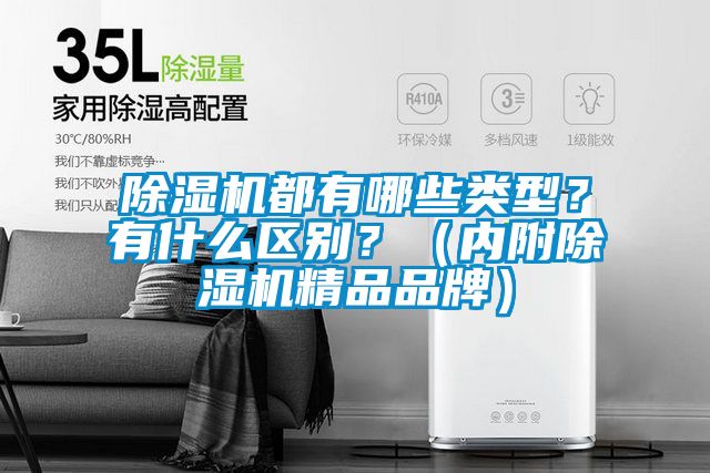 除濕機都有哪些類型？有什么區(qū)別？（內(nèi)附除濕機精品品牌）