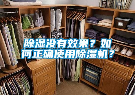 除濕沒有效果？如何正確使用除濕機？