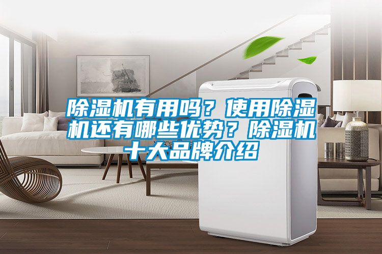 除濕機有用嗎？使用除濕機還有哪些優勢？除濕機十大品牌介紹