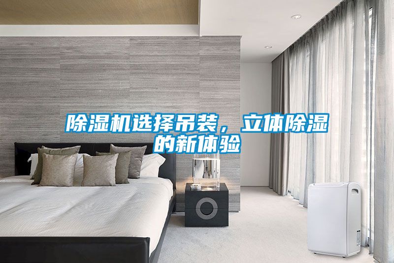 除濕機(jī)選擇吊裝，立體除濕的新體驗(yàn)