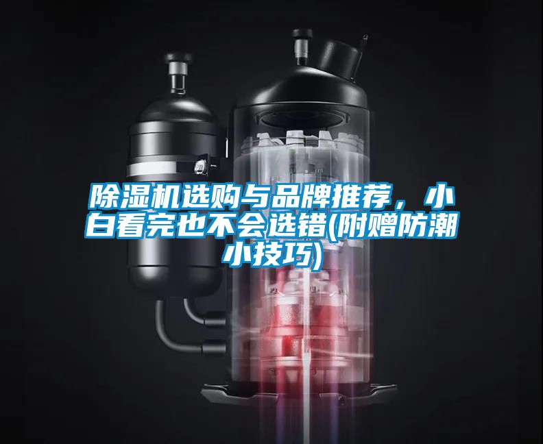 除濕機選購與品牌推薦，小白看完也不會選錯(附贈防潮小技巧)