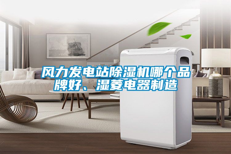 風(fēng)力發(fā)電站除濕機哪個品牌好、濕菱電器制造