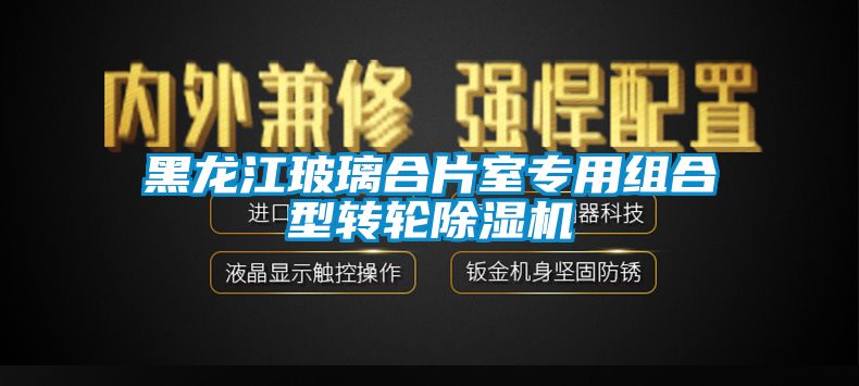 黑龍江玻璃合片室專用組合型轉(zhuǎn)輪除濕機